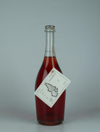 A bottle 2023 Grignosca Sparkling from Fabio Gea, Piedmont in Italy