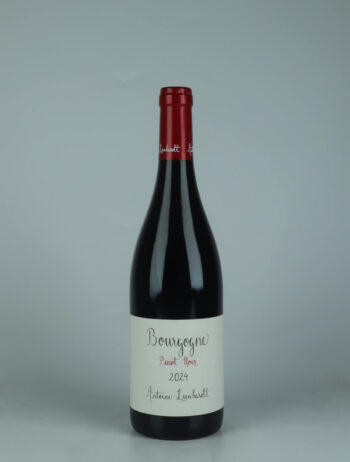 A bottle 2024 Bourgogne Rouge Red wine from Antoine Lienhardt, Burgundy in France