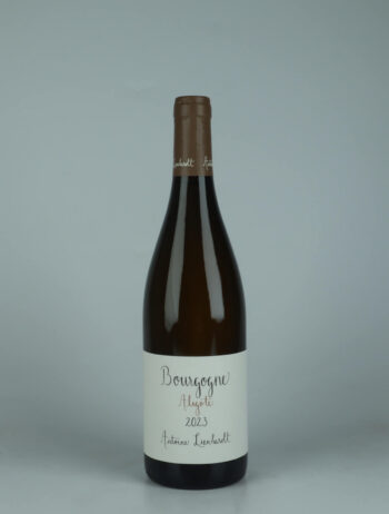 A bottle 2023 Bourgogne Aligoté White wine from Antoine Lienhardt, Burgundy in France