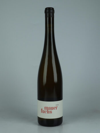 A bottle 2023 Mauerfuchs White wine from Jakob Tennstedt, Mosel in Germany