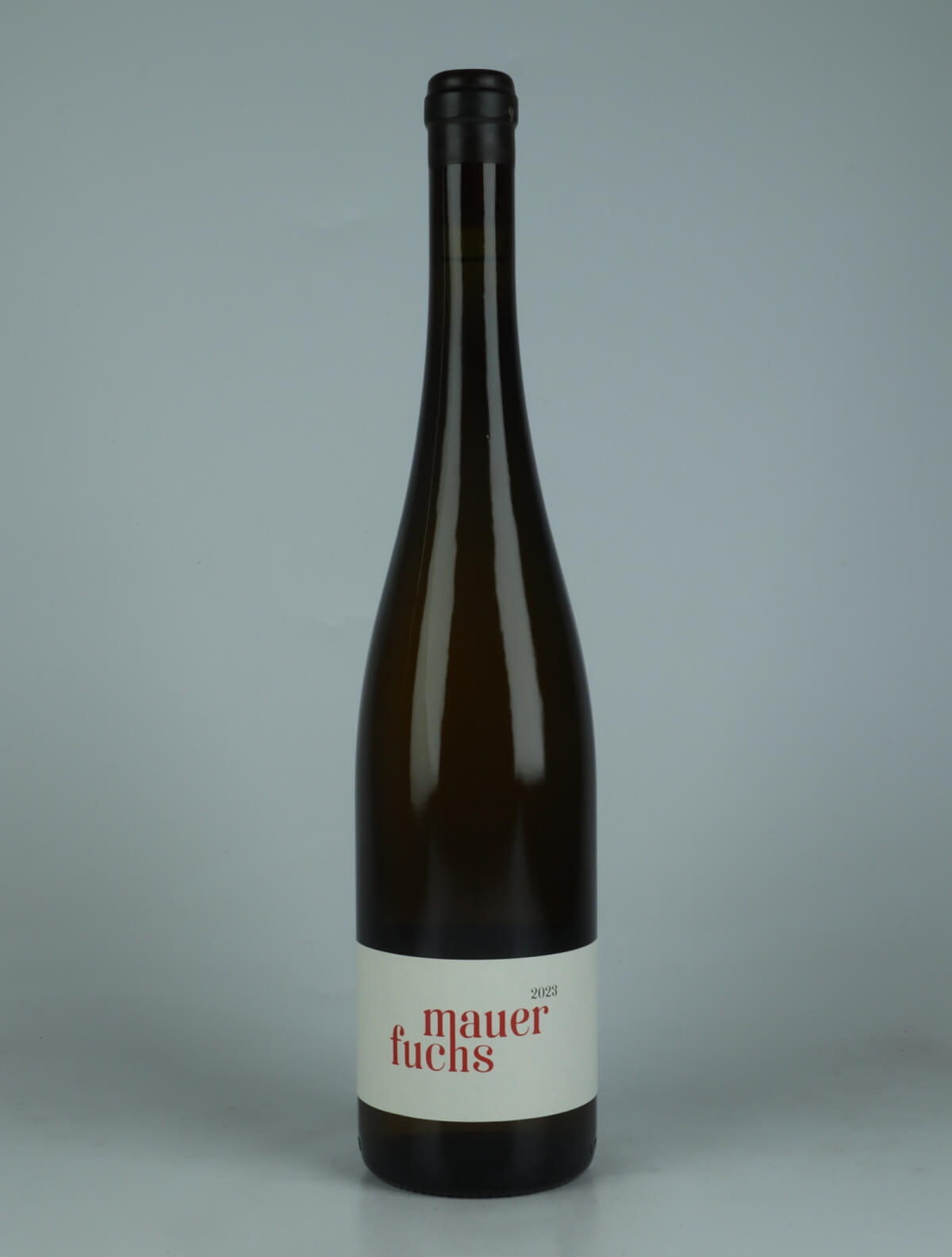 A bottle 2023 Mauerfuchs Hvidvin from Jakob Tennstedt, Mosel in Tyskland