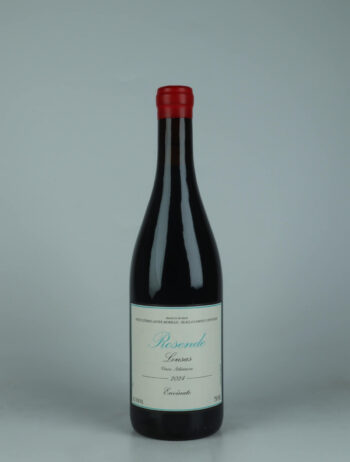 A bottle 2024 Rosende - Ribeira Sacra Red wine from Envínate, Ribeira Sacra in Spain