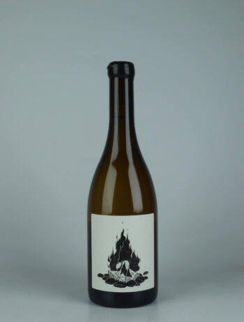 A bottle 2023 Saint Aubin 1er Cru - La Chatenière - "La Sauvage" White wine from Vin Noé, Burgundy in France