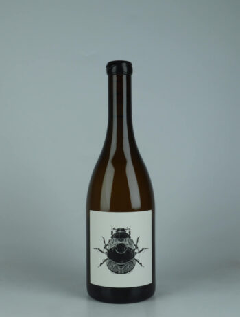 A bottle 2023 Puligny Montrachet - Le Trézin - "Superposition" White wine from Vin Noé, Burgundy in France