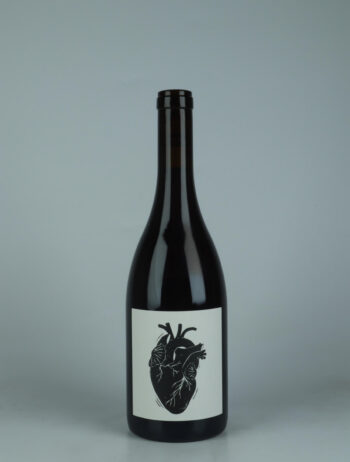A bottle 2024 Amour Vache Red wine from Vin Noé, Beaujolais in France