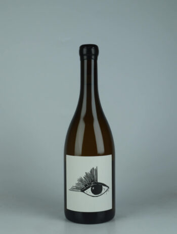 A bottle 2024 Bourgogne Aligoté - "Alibi" White wine from Vin Noé, Burgundy in France