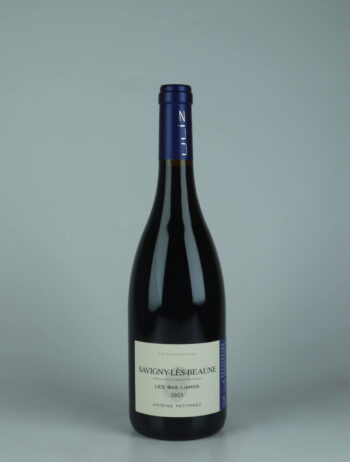 A bottle 2023 Savigny les Beaune - Les Bas Liards Red wine from Antoine Petitprez, Burgundy in France