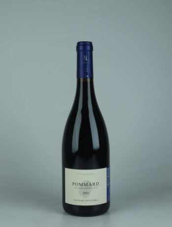 A bottle 2023 Pommard Red wine from Antoine Petitprez, Burgundy in France