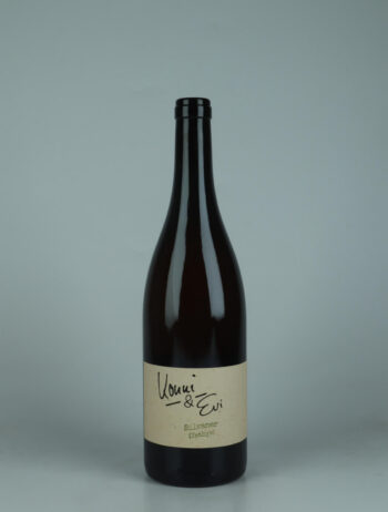 A bottle 2023 Silvaner - Tethys White wine from Konni &amp; Evi, Saale-Unstrut in Germany