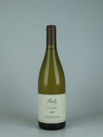 A bottle 2023 Rully - Les Cailloux - Pierre Boisson White wine from Boisson, Burgundy in France