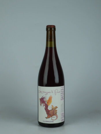 A bottle 2024 Trognes de Pinot Red wine from Domaine de la Côtelette, Burgundy in France