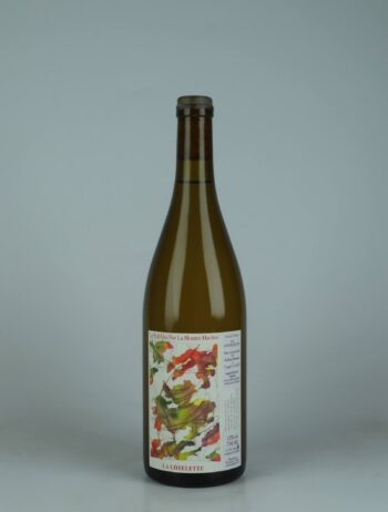 A bottle 2024 Le Pull Qui Nie La Montre Hachée White wine from Domaine de la Côtelette, Burgundy in France