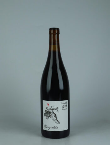 A bottle 2025 Chrysalide Red wine from Romuald Valot, Beaujolais in France