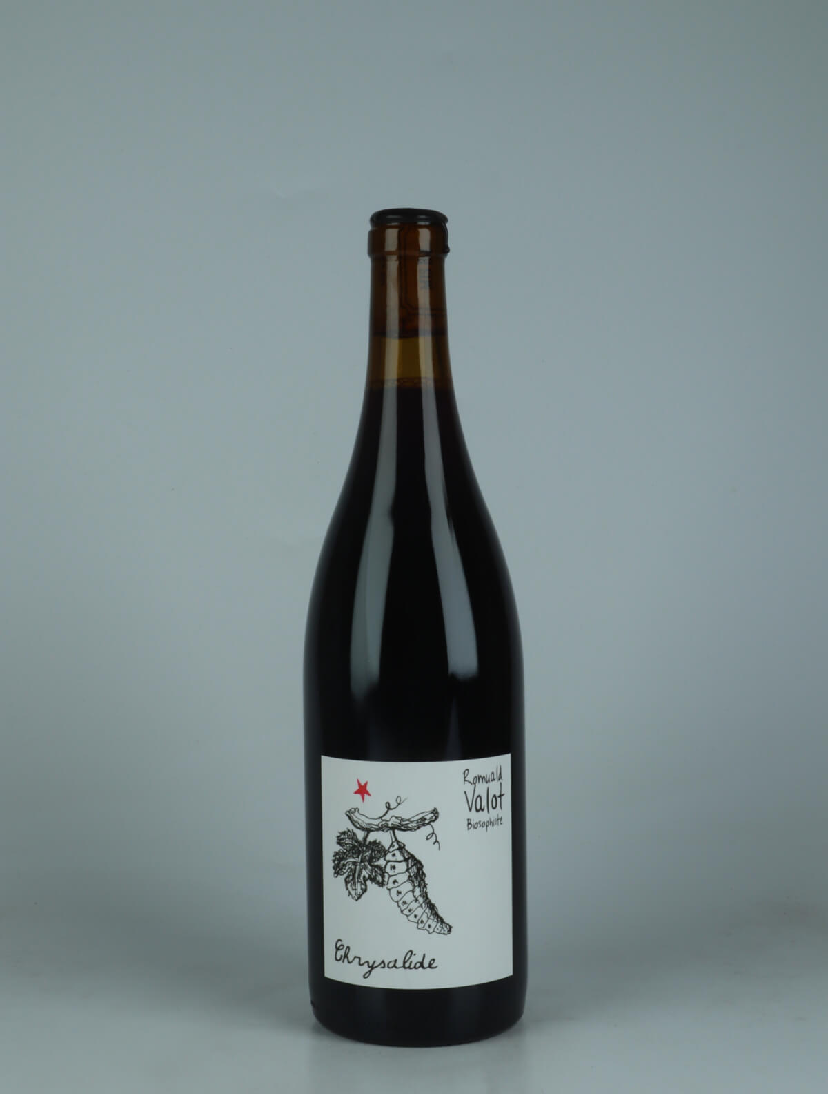 A bottle 2025 Chrysalide Red wine from Romuald Valot, Beaujolais in France
