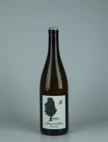 A bottle 2023 Riesling White wine from Julius Höfflin, Baden in Germany