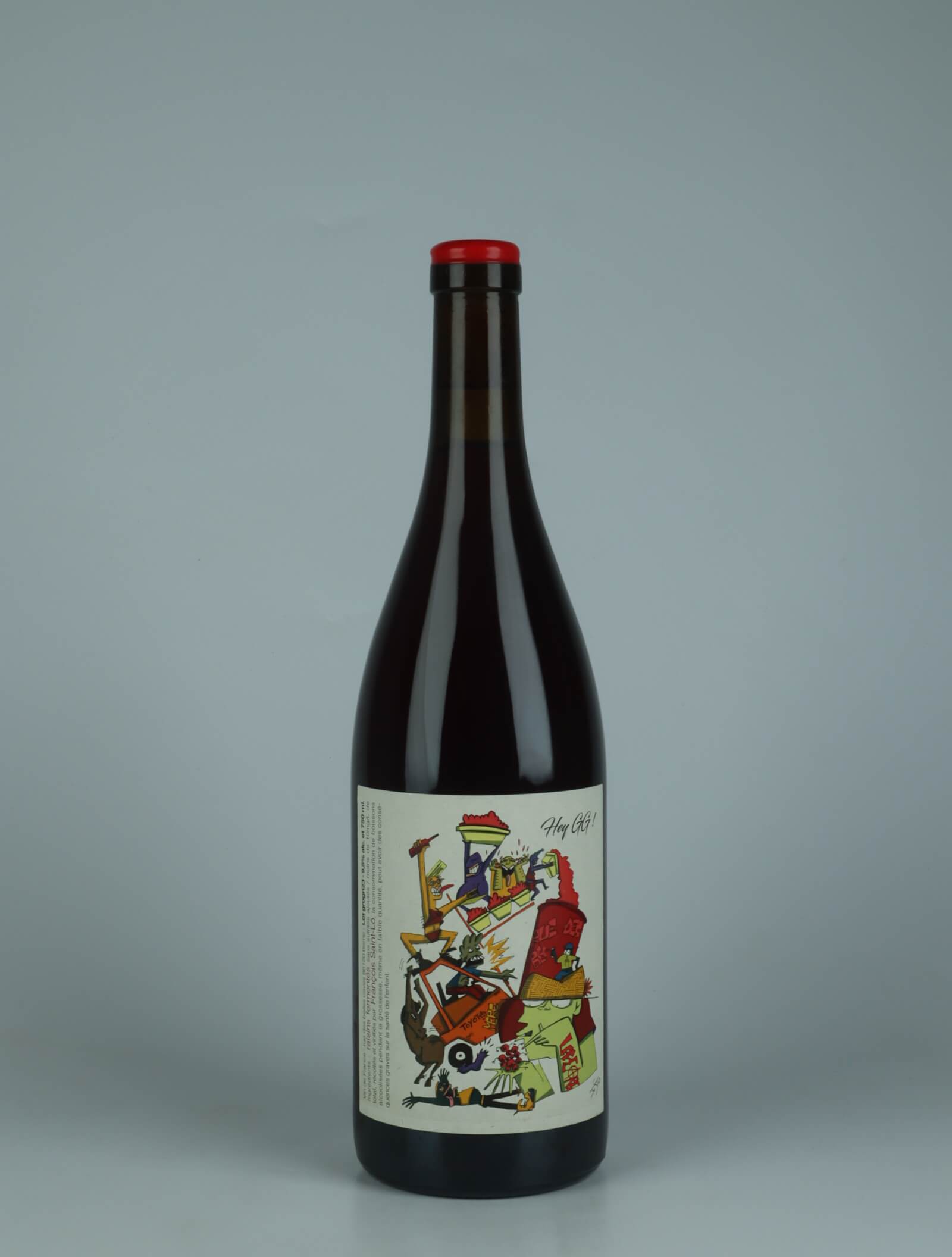 A bottle 2023 Hey GG!!! Red wine from François Saint-Lô, Loire in France