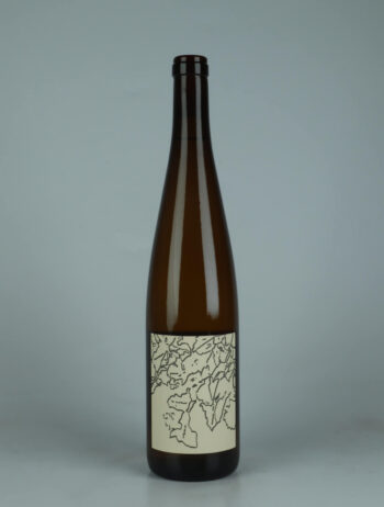 A bottle N.V. (2023/2024) Riesling White wine from Domaine Goepp, Alsace in France