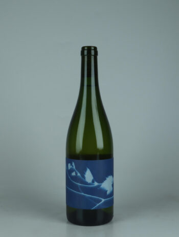 A bottle 2023 Le Rayon Blanc White wine from Thomas Puéchavy, Loire in France