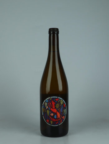 A bottle 2024 Riesling White wine from Julien Renard, Mosel in Germany