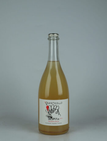 A bottle 2024 Despina Sparkling from Quarticello, Emilia-Romagna in Italy