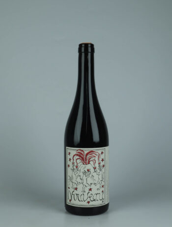 A bottle 2025 Nouveau Red wine from Patrick Bouju, Auvergne in France