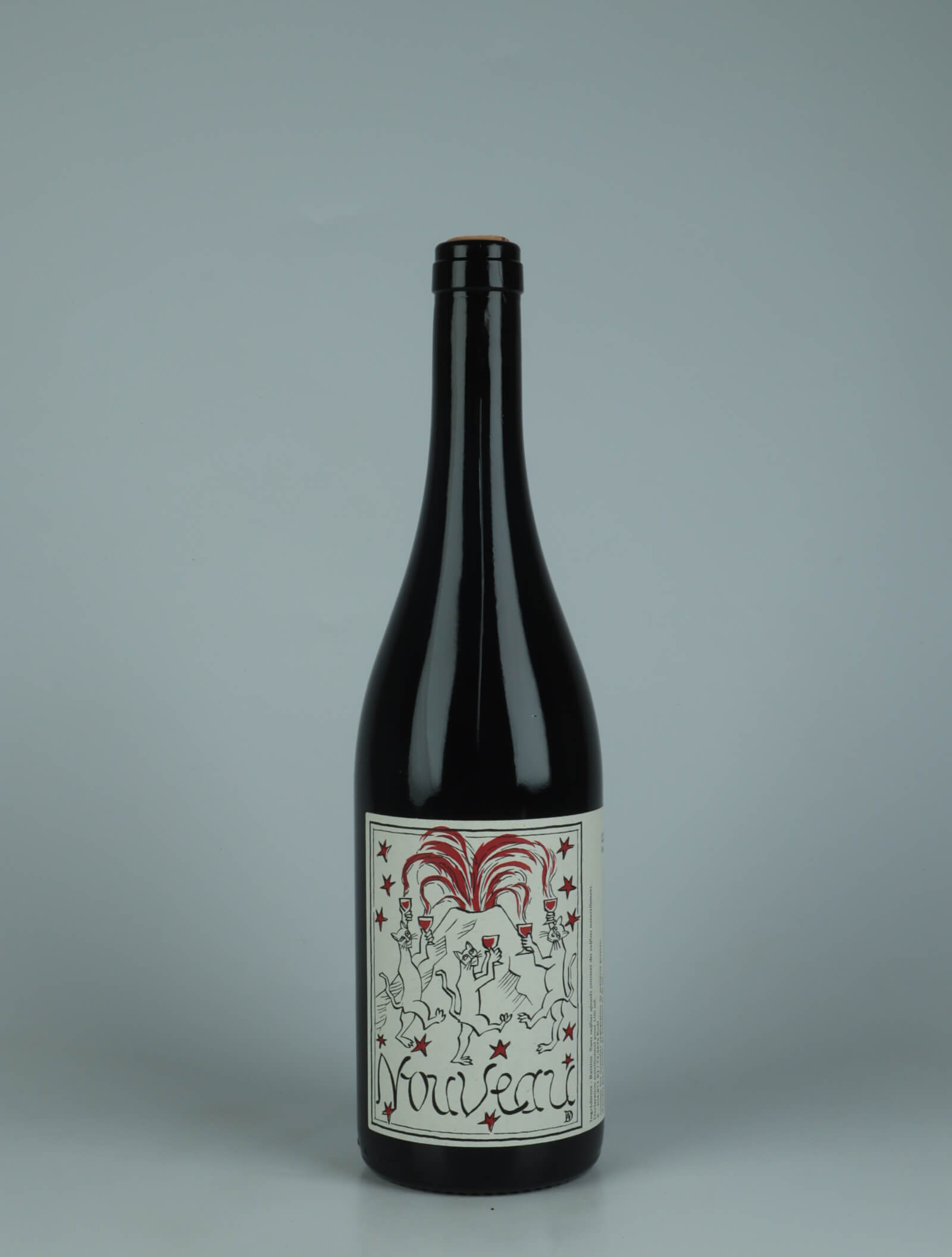 A bottle 2025 Nouveau Red wine from Patrick Bouju, Auvergne in France