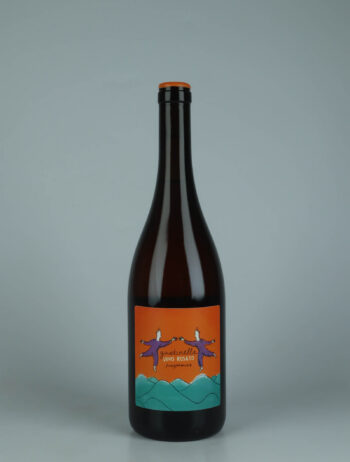 A bottle 2024 Jungimmune Rosato Rosé from Gustinella, Sicily in Italy