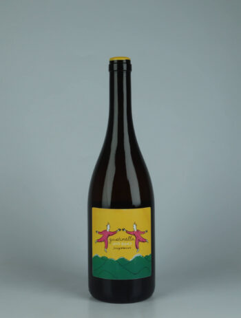 A bottle 2024 Jungimmune Bianco White wine from Gustinella, Sicily in Italy
