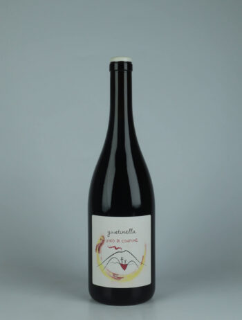 A bottle 2024 Vino di Confine Red wine from Gustinella, Sicily in Italy