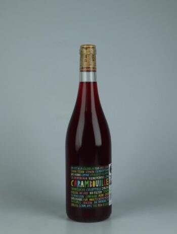 A bottle 2024 Carambouille Red wine from Les Vignerons d’Estézargues, Rhône in France