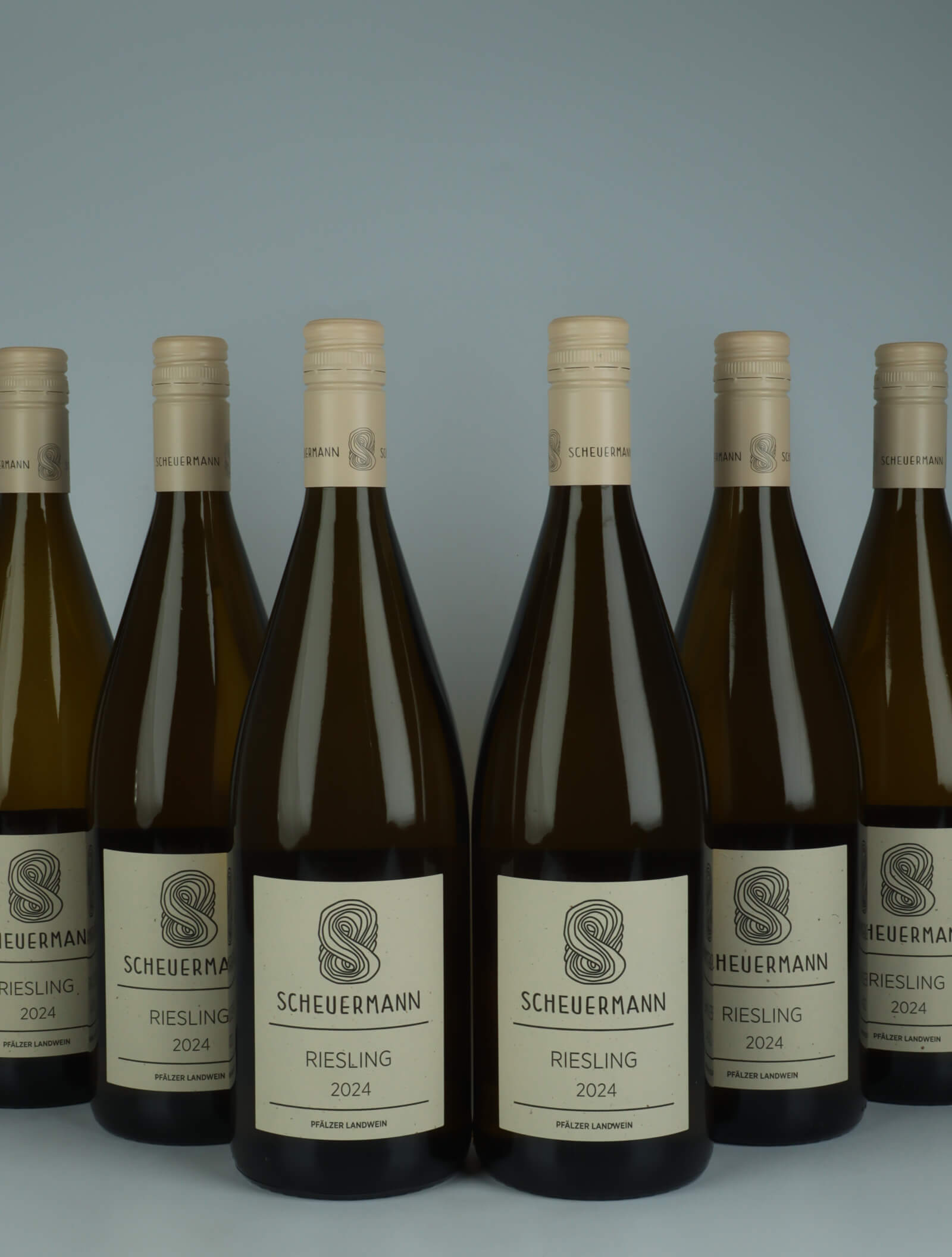 A bottle  6 x 2024 Riesling Liter  from ,  in 