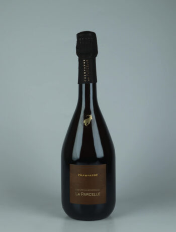 A bottle 2022 Connigis Sparkling from Chevreux-Bournazel - La Parcelle, Champagne in France