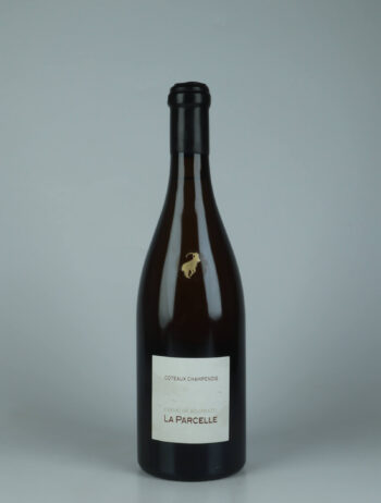 A bottle N.V. (2021/2022) Coteaux Champenois White wine from Chevreux-Bournazel - La Parcelle, Champagne in France