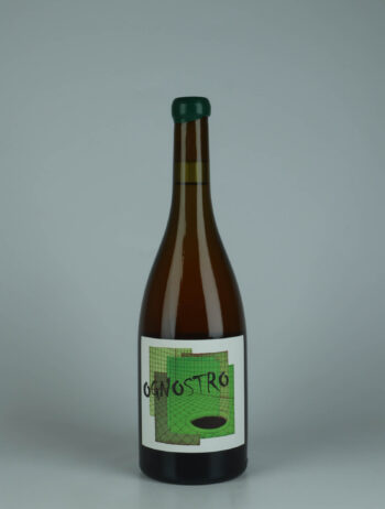 A bottle 2024 Ognostro Bianco - Greco White wine from Marco Tinessa, Campania in Italy