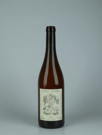 A bottle 2024 Vino Bianco Susanna White wine from Gazzetta, Lazio in Italy