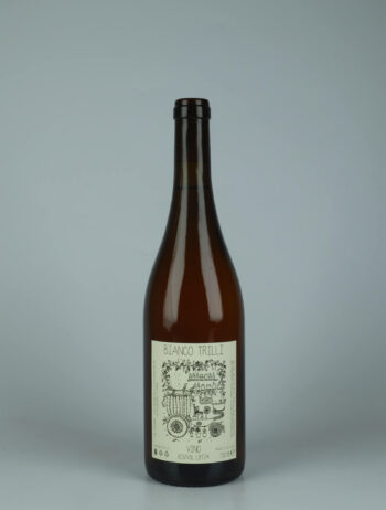 A bottle 2024 Vino Bianco Trilli White wine from Gazzetta, Lazio in Italy