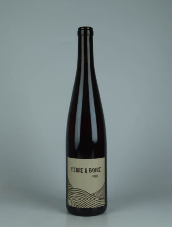 A bottle 2024 Terre à Boire Red wine from Ruhlmann Dirringer, Alsace in France