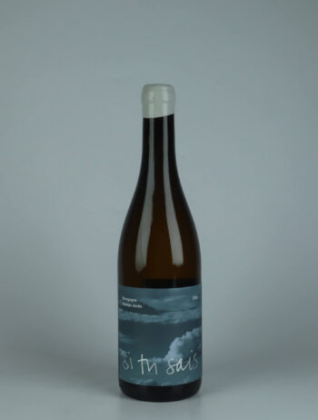 A bottle 2024 Bourgogne Blanc - Champs Dorés White wine from Si Tu Sais, Burgundy in France