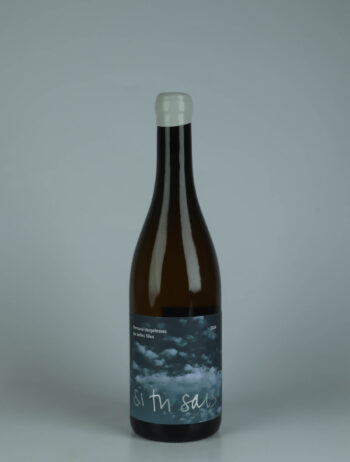 A bottle 2024 Pernand-Vergelesses - Les Belles Filles White wine from Si Tu Sais, Burgundy in France