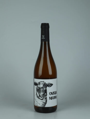 A bottle 2025 Ovella Negra Orange wine from Mas Candí, Penedès in Spain