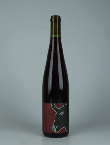 A bottle 2025 Pinot Noir - Stierkopf Red wine from Domaine Rietsch, Alsace in France