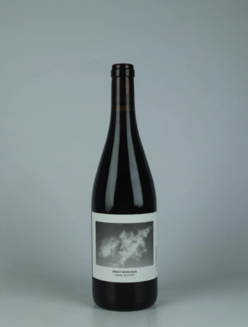 A bottle 2024 Pinot Noir Red wine from Jonas Dostert, Mosel in Germany