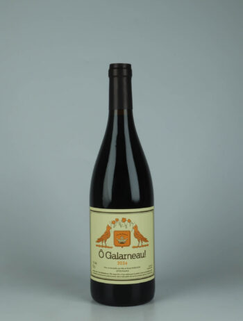 A bottle 2024 Ô Galarneau! Red wine from Mai et Kenji Hodgson, Loire in France