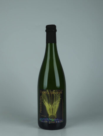 A bottle 2024 Fêtembulles Sparkling from Jean-Pierre Robinot, Loire in France