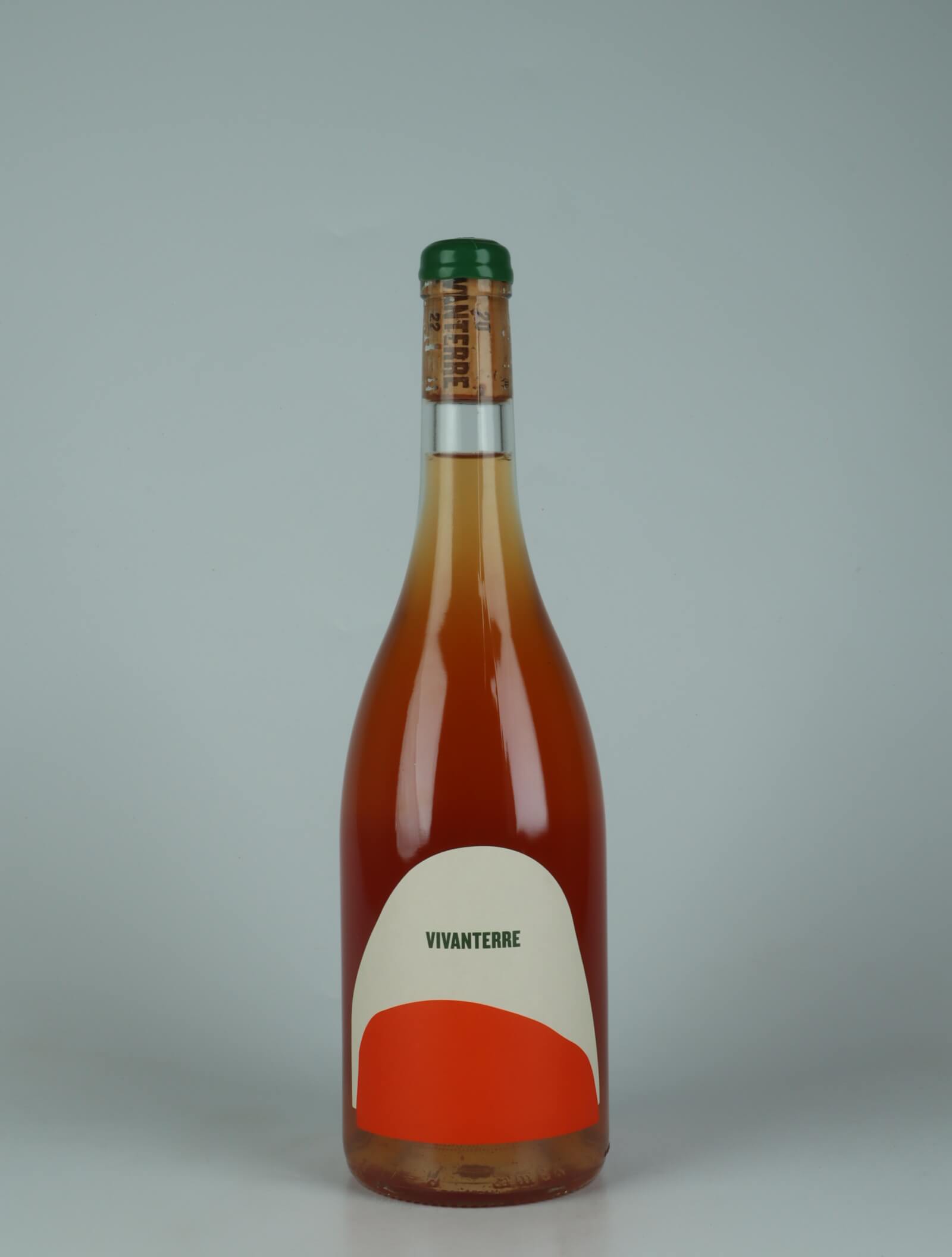 A bottle 2022 Vivanterre Orange Orange wine from Patrick Bouju, Auvergne in France