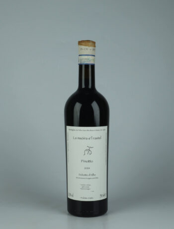 A bottle 2024 Pinotto - Dolcetto d'Alba Red wine from Fabio Gea, Piedmont in Italy