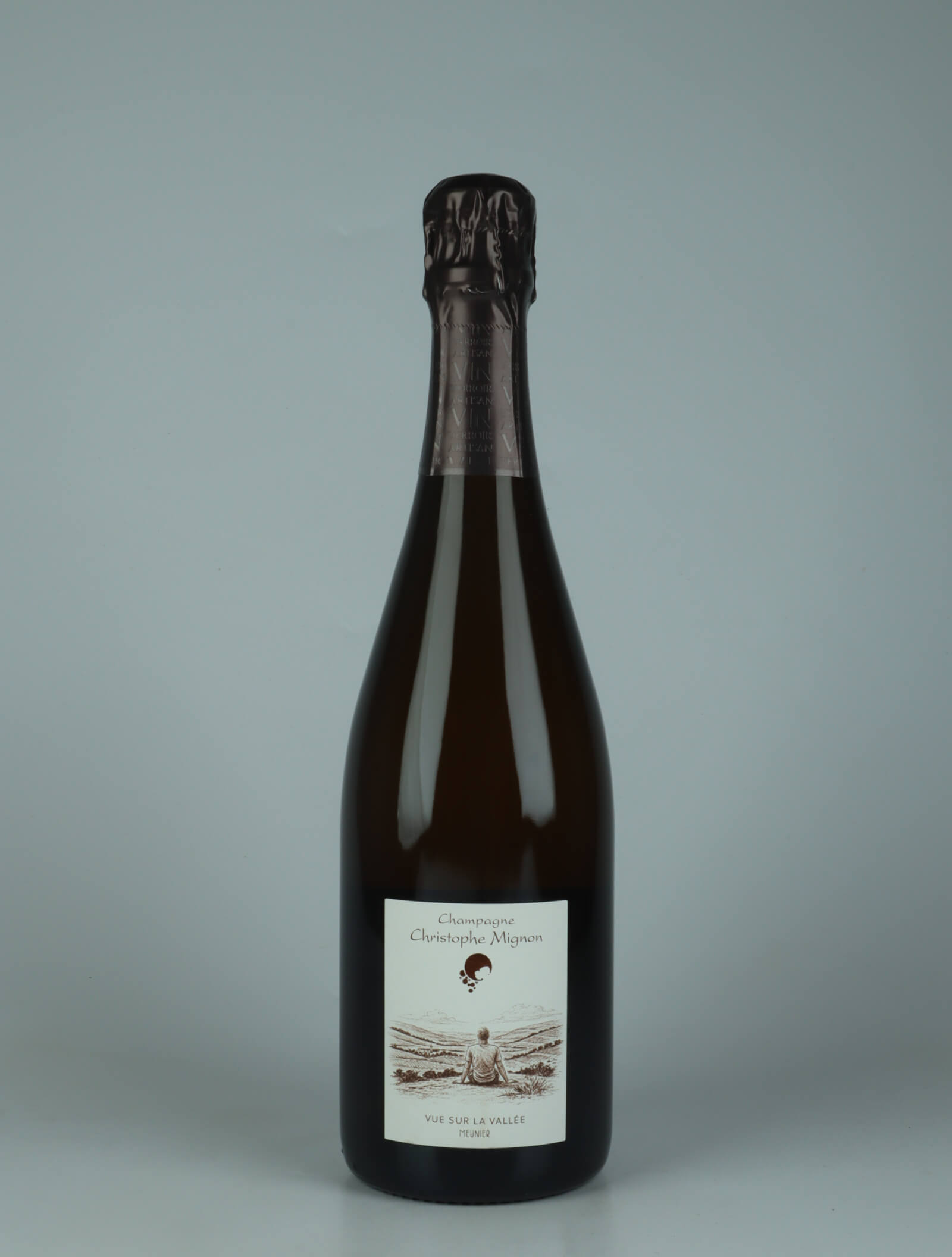 A bottle N.V. (2020/2021) Vue sur la Vallée - Extra Brut Sparkling from Christophe Mignon, Champagne in France