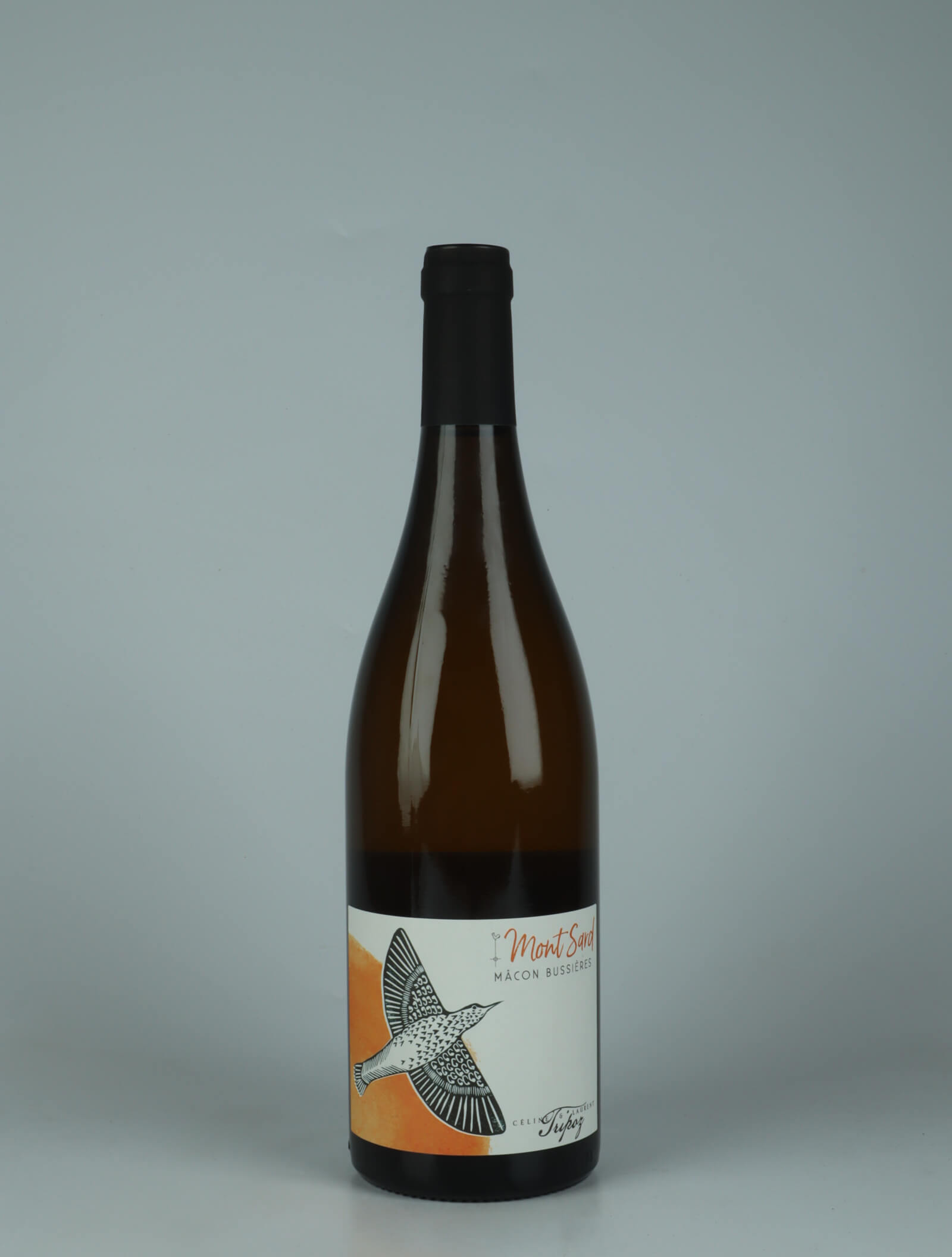 A bottle 2023 Mâcon-Buissières - Mont Sard White wine from Céline & Laurent Tripoz, Burgundy in France