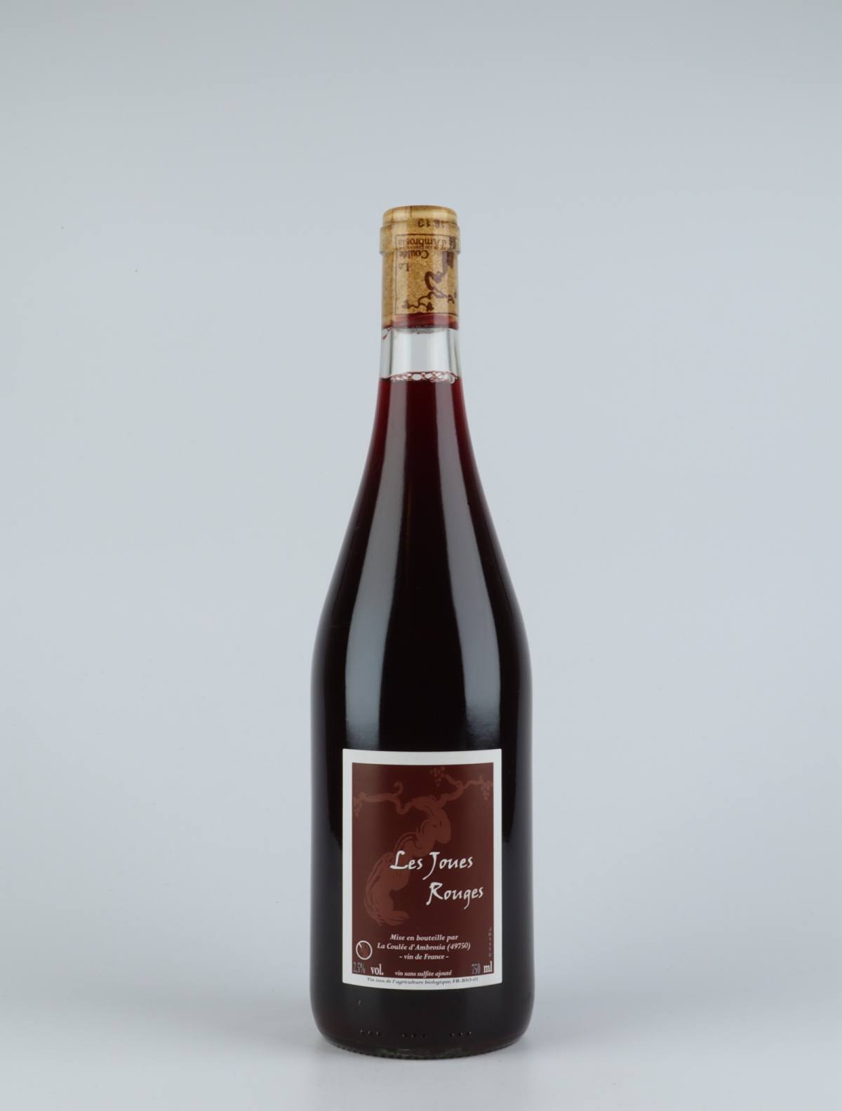 En flaske 2011 Les Joues Rouges Rødvin fra Jean-Francois Chéné, Loire i Frankrig