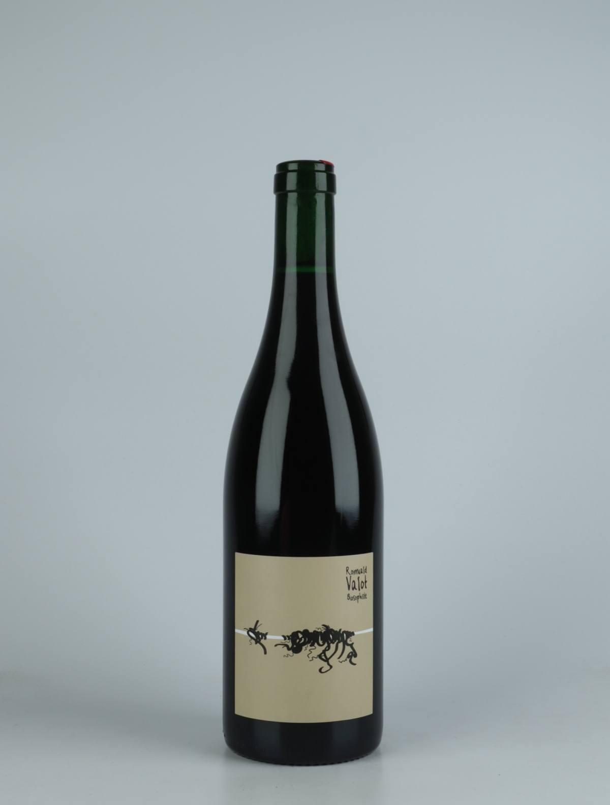 A bottle 2021 Cuvée 21550 - Infusion de Pinot Noir Red wine from Romuald Valot, Beaujolais in France